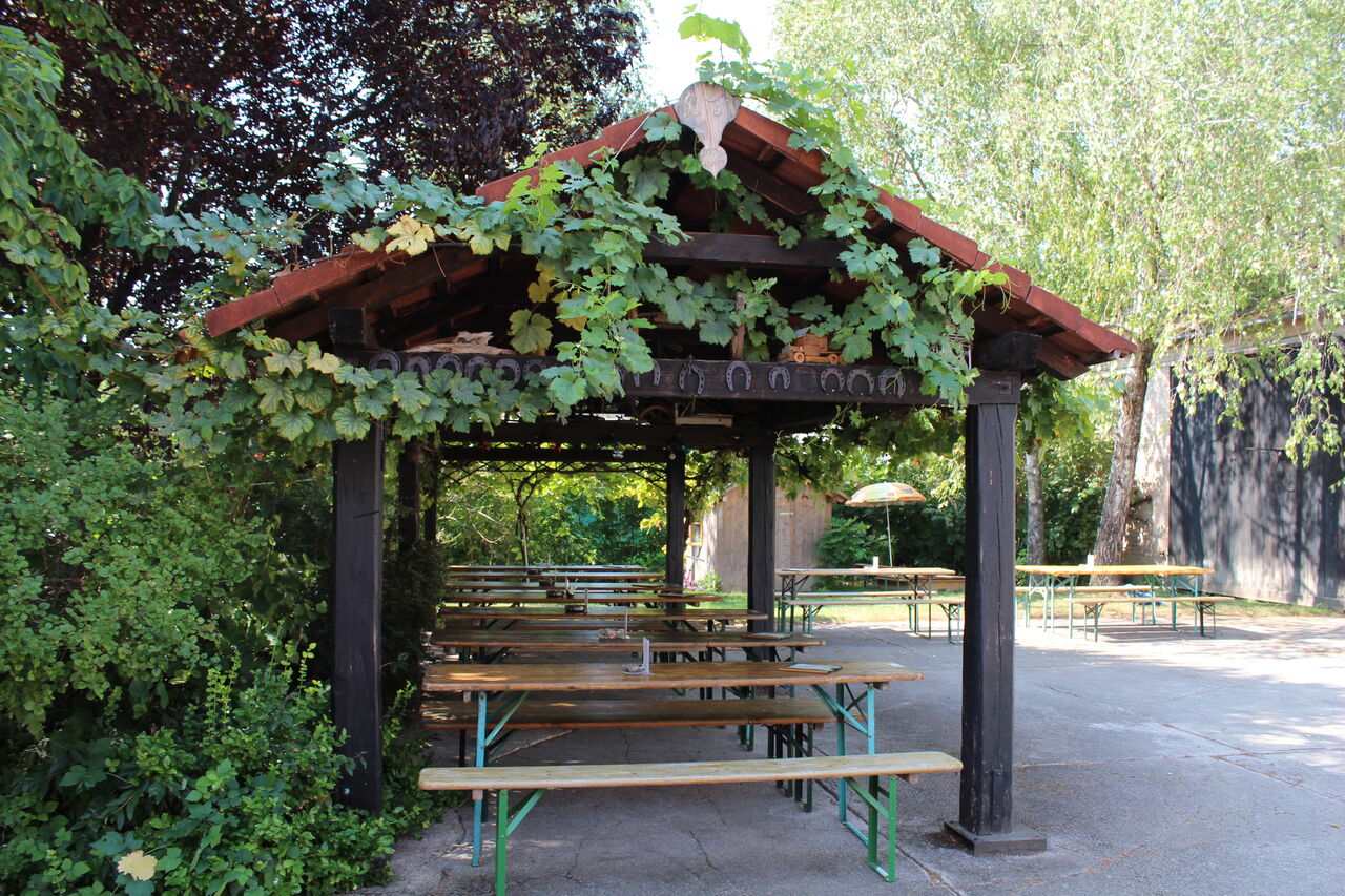 Romantische Weinlaube - im Sommer schön schattig und windgeschützt