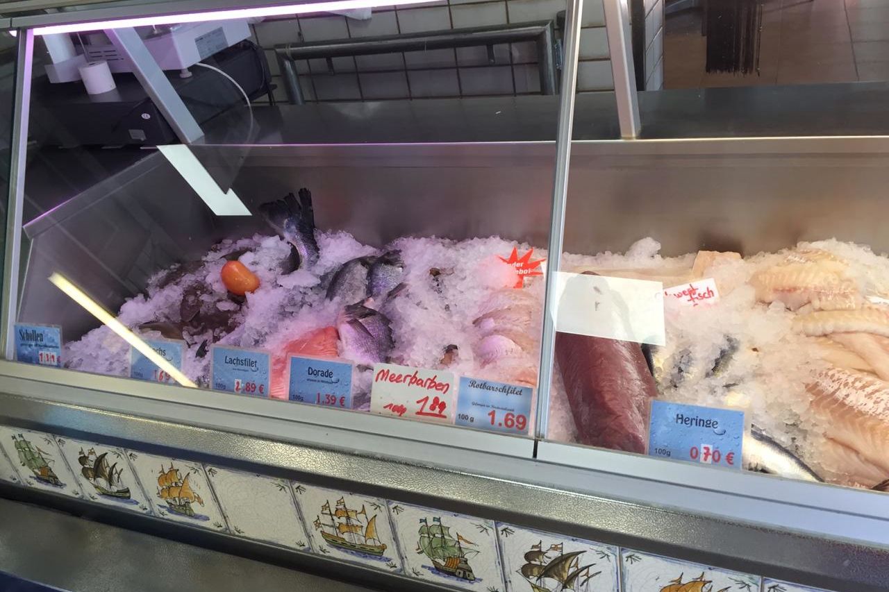 Unser Fisch ist immer frisch!