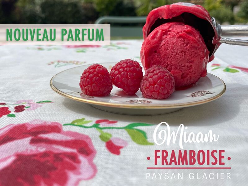 Sorbet plein fruit framboise 