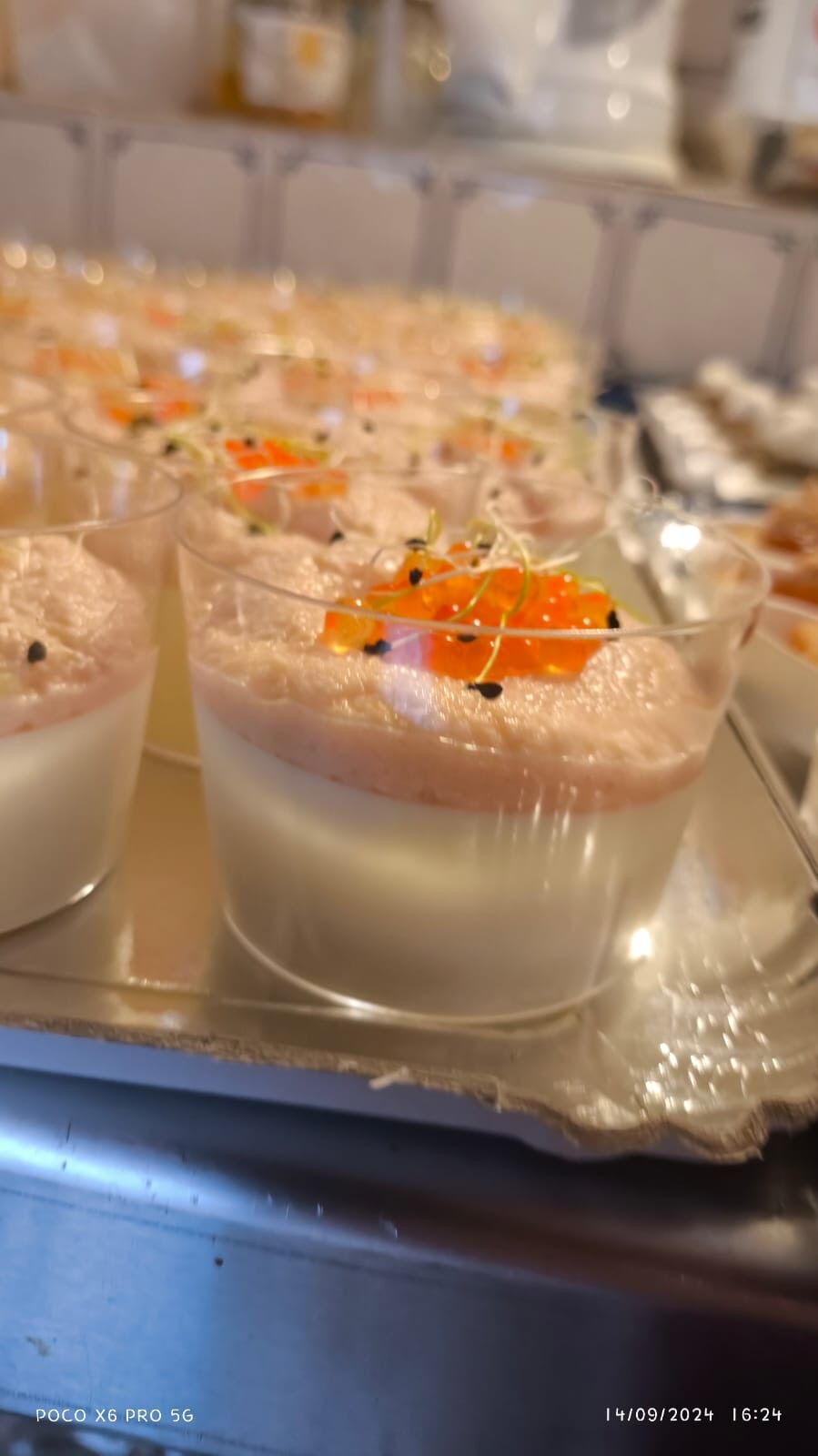Pana cotta saumon