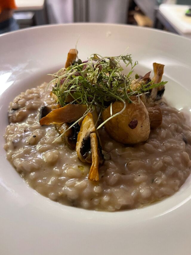 Risotto de Cogumelos 