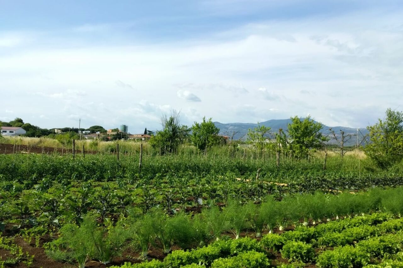 La Nostra Azienda Agricola