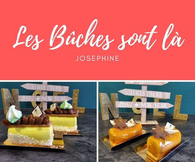 Buchettes noël 2020