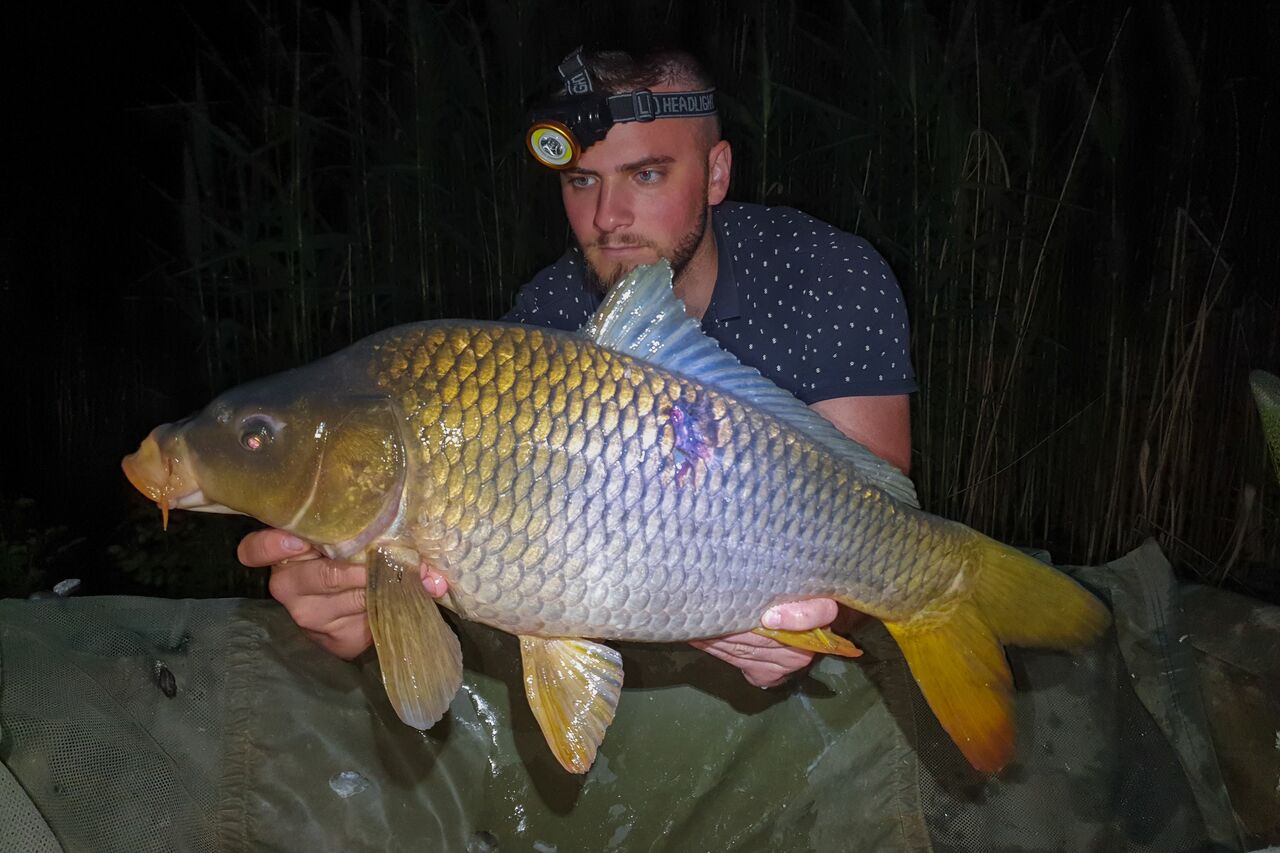 Ön is szeretne ilyeneket fogni?