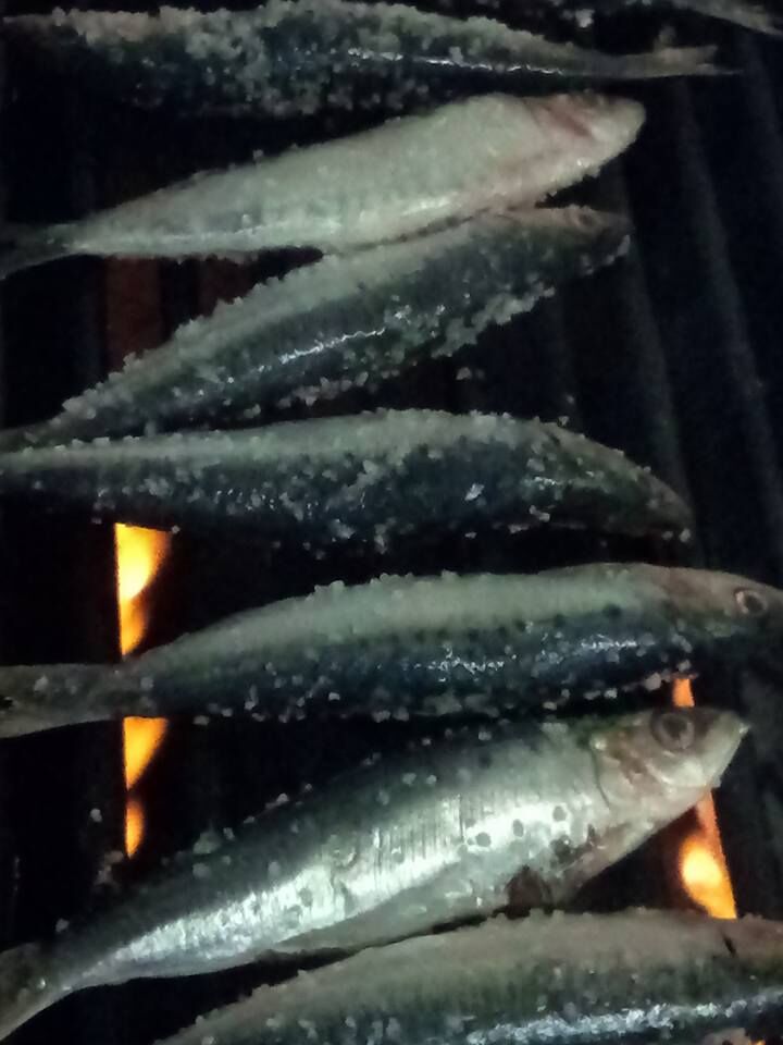 A Sardinha na grelha!