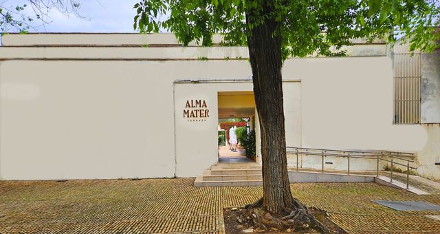 Entrada Alma Mater Terraza