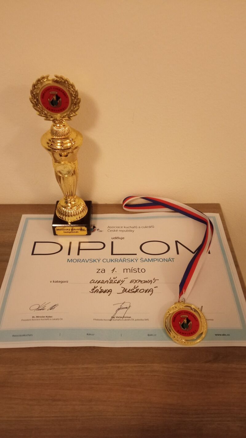 Mezinárodní šampionat v Olomouci , tady si vezu domů zlato 