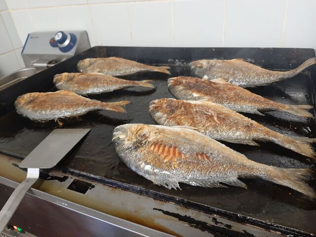 Gegrillte Dorade