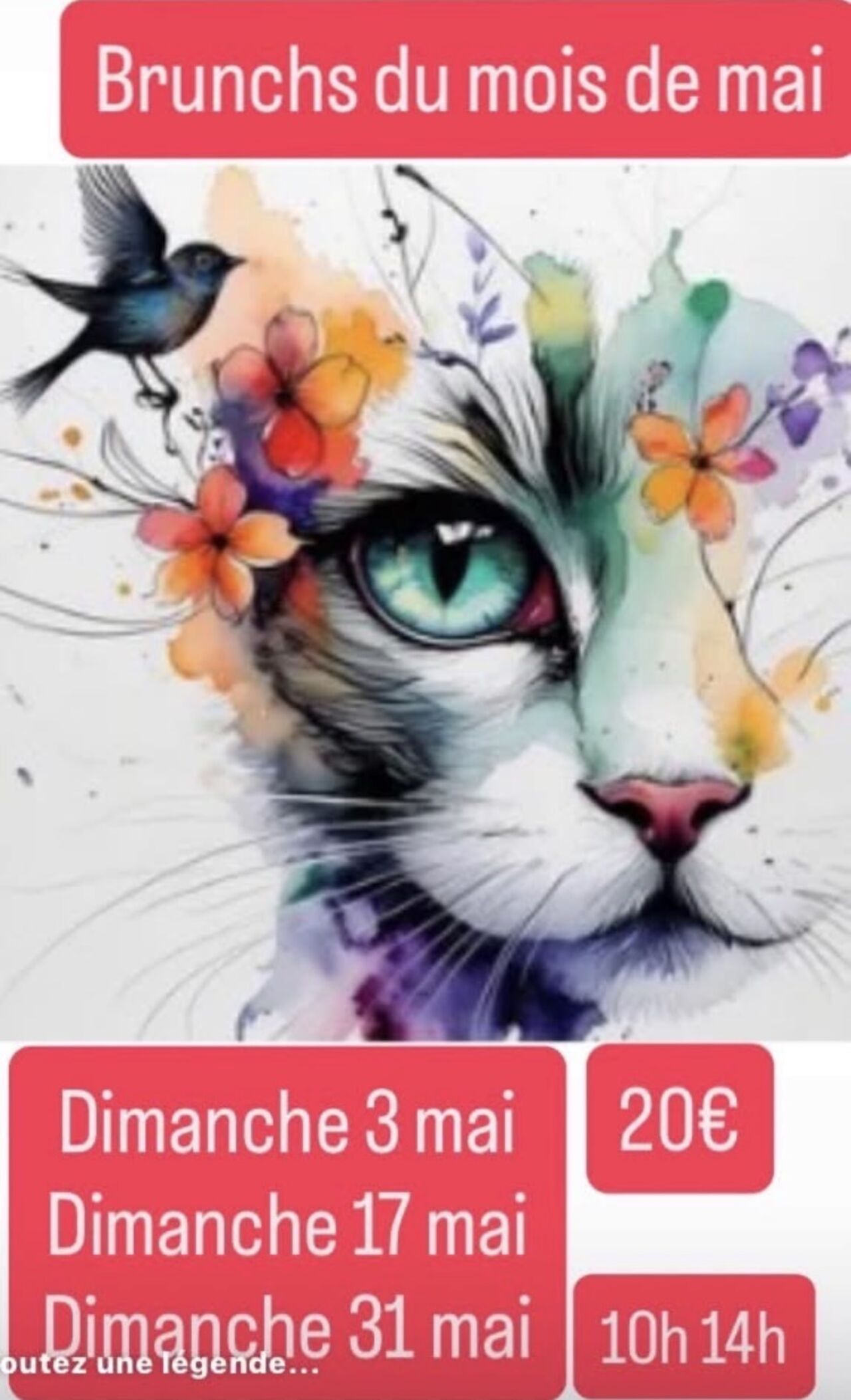 Brunchs 17 et 31 mai