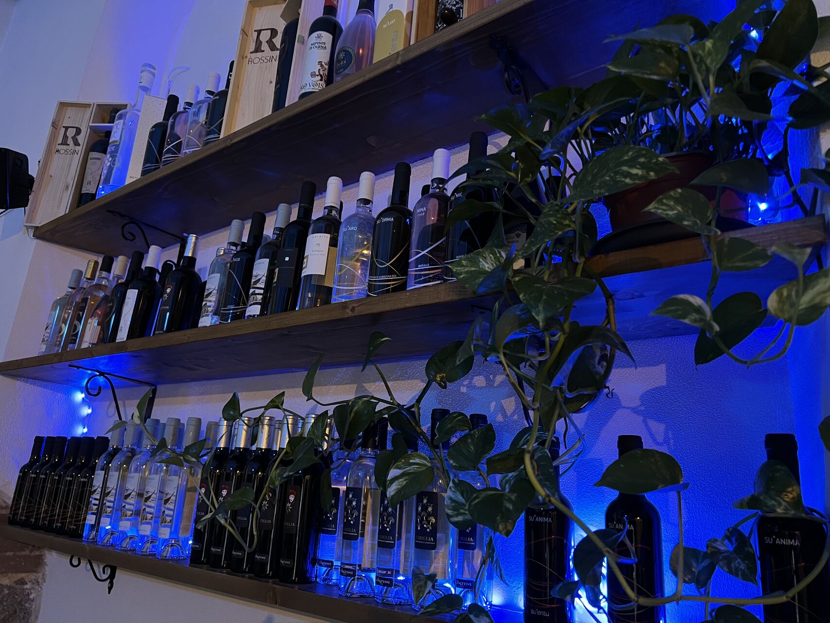 Vini e Birre della Sardegna