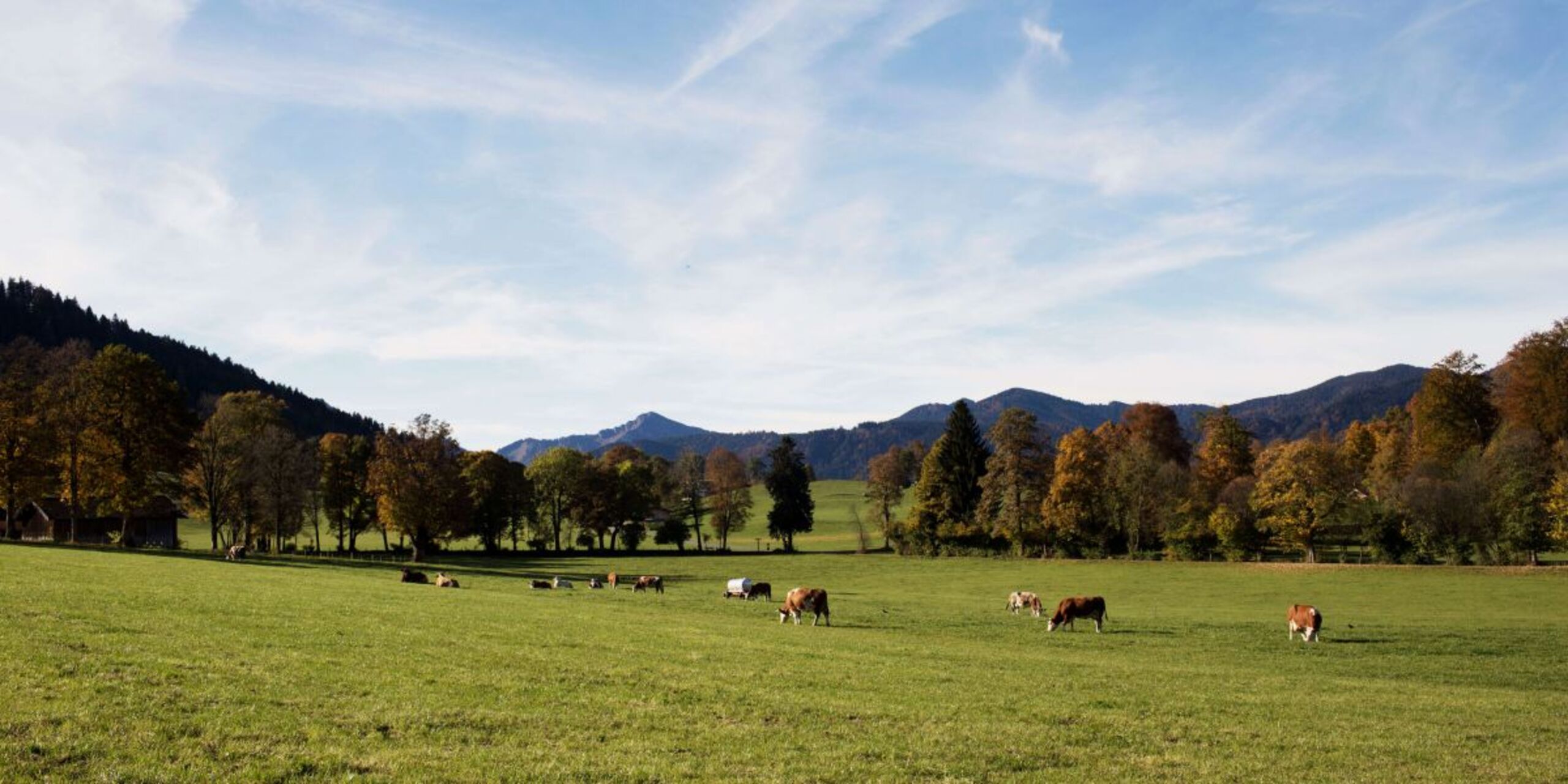 Unsere Küchenphilosophie