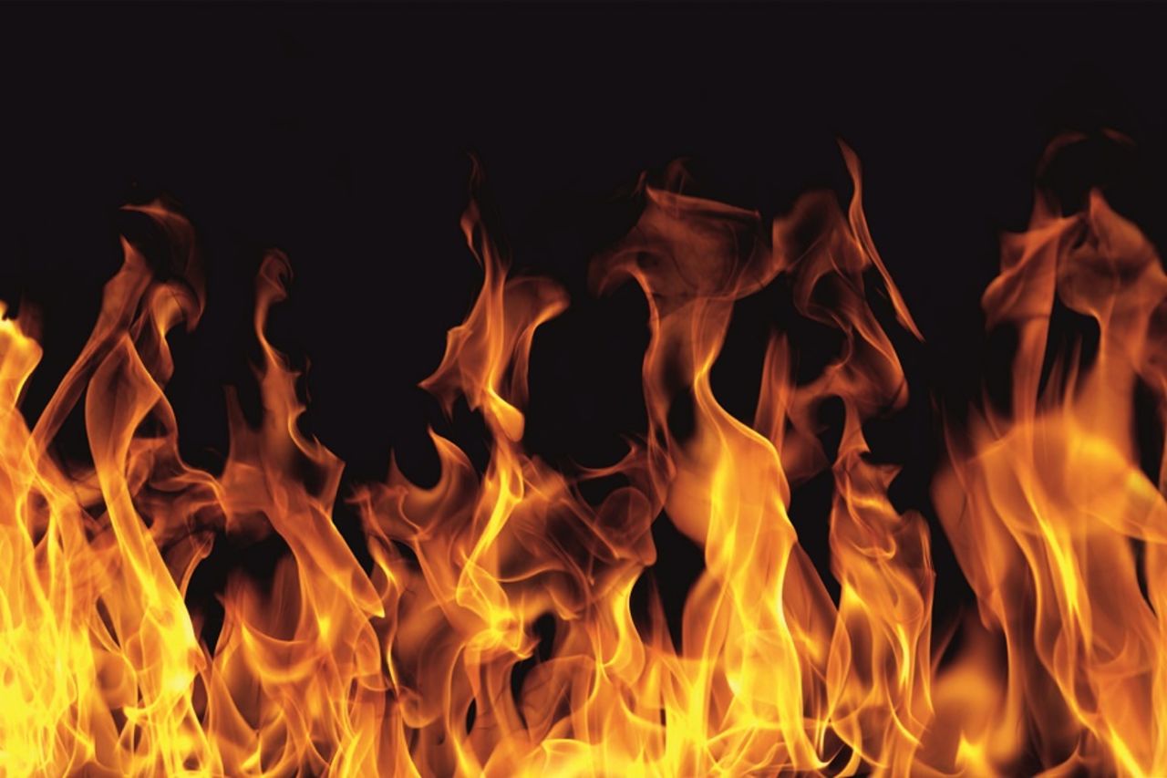 Foodtrucks in Oranienburg