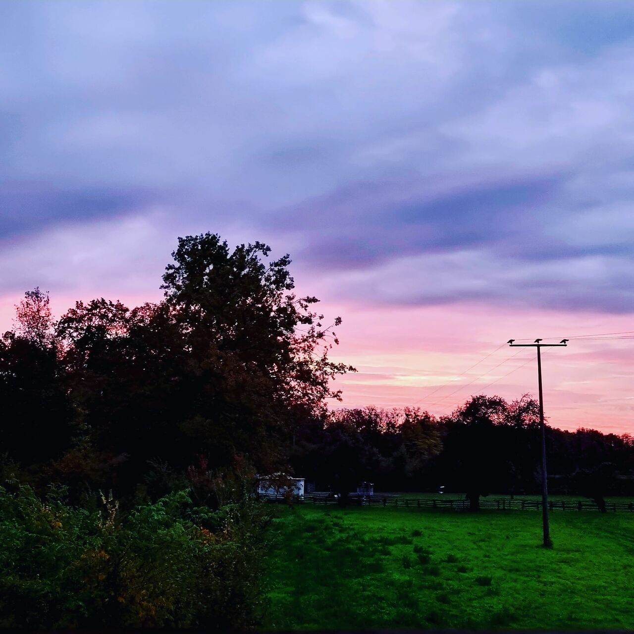 Morgenstund hat Gold im Mund 