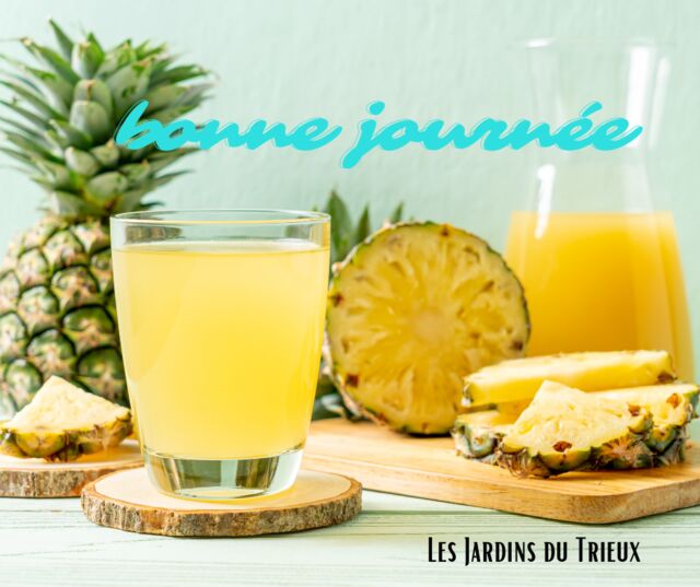 Restaurant Les Jardins du Trieux : Bonne journée