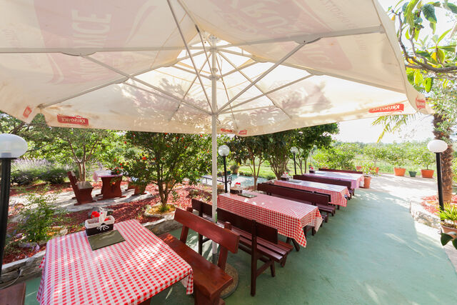 Our lovely terrace! - Konoba Maslina Pridraga
