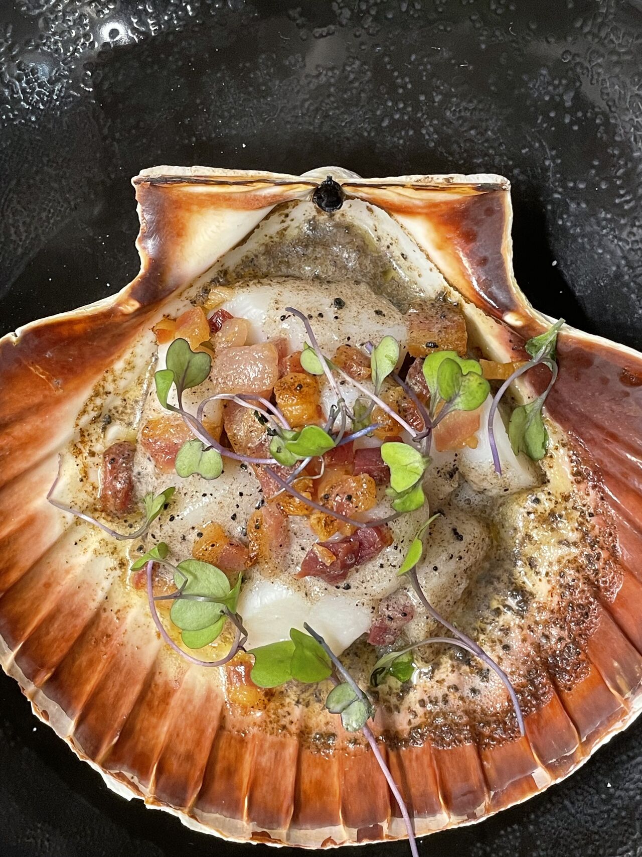 St-Jacques rôties panais et spianata