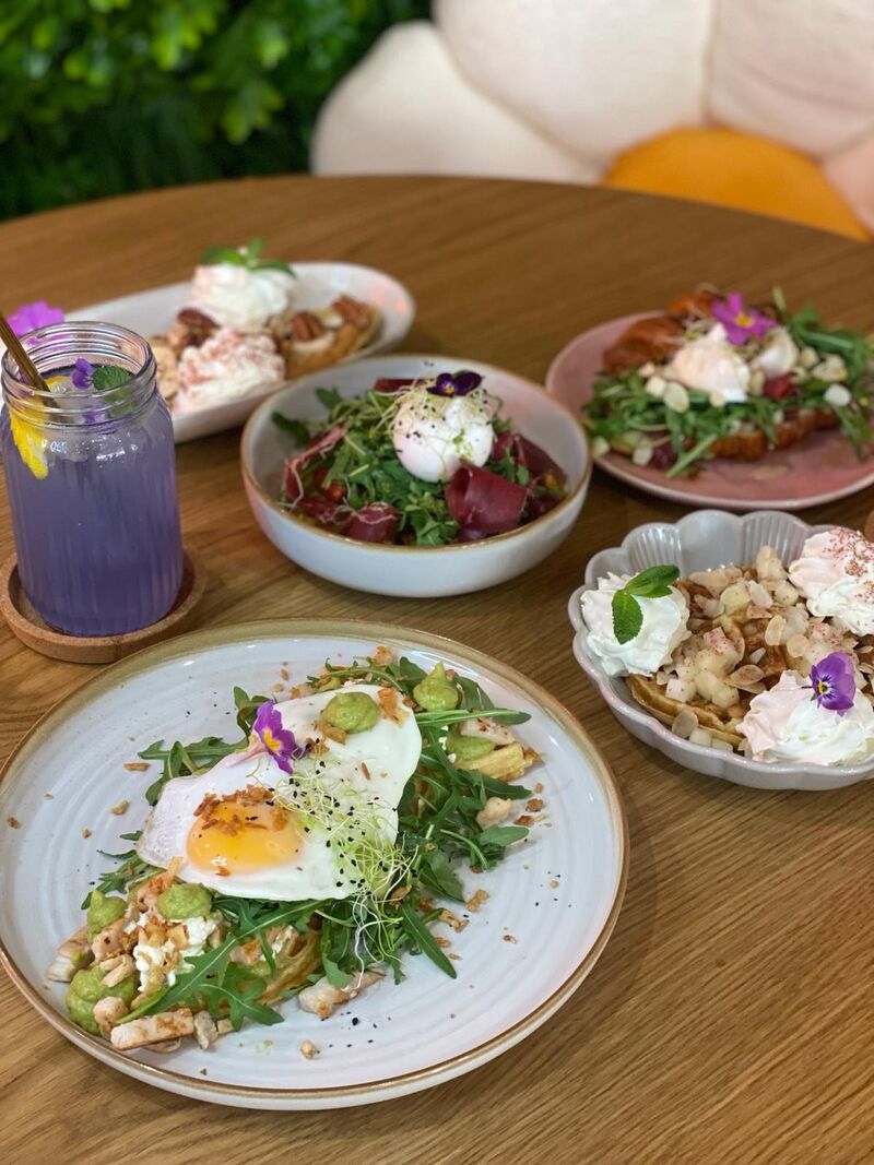 Nouveautés printemps 