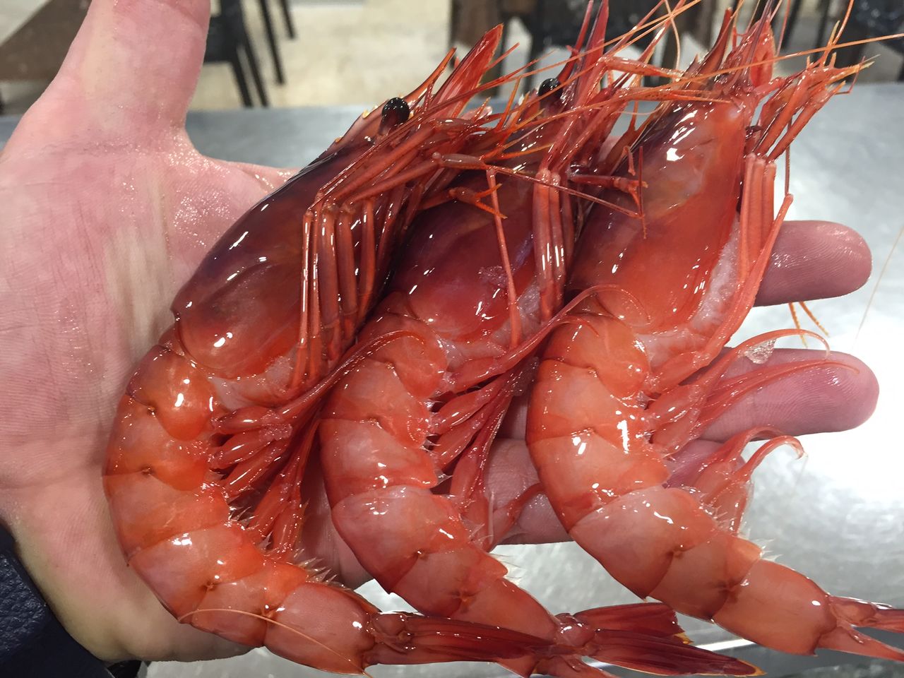 Gamba de Dénia
