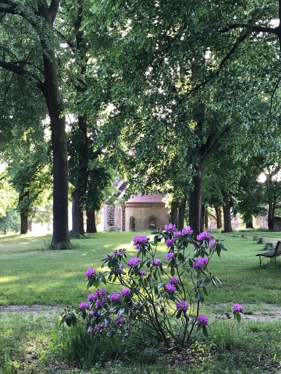 Lindenallee zur ehemaligen Patronatskirche - kirchliche Trauungen möglich -