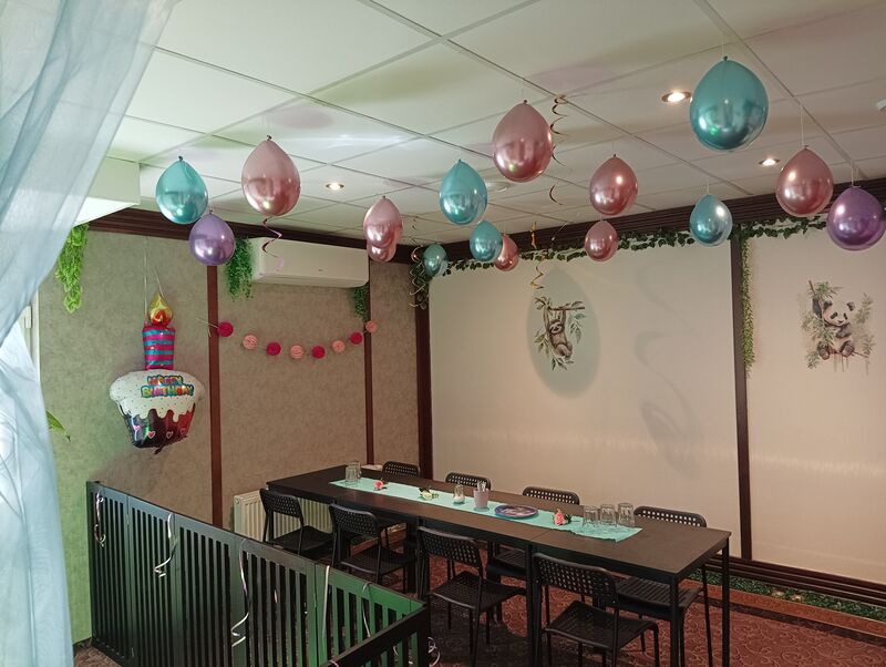 Oslava k 6. narozeninám pro dívku