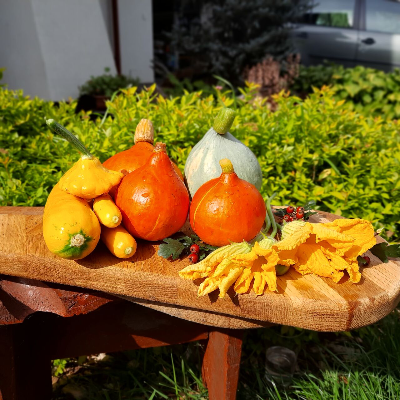 jarska - kuchnia kolorowa, pachnąca i lekka 