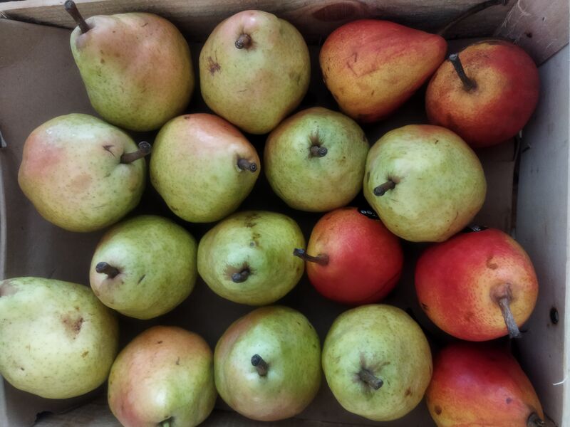 Poire Williams ou guyot 3.80€ kg