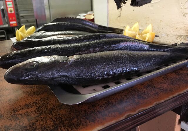 ARRIVAGE DE POISSON FRAIS DU JOUR