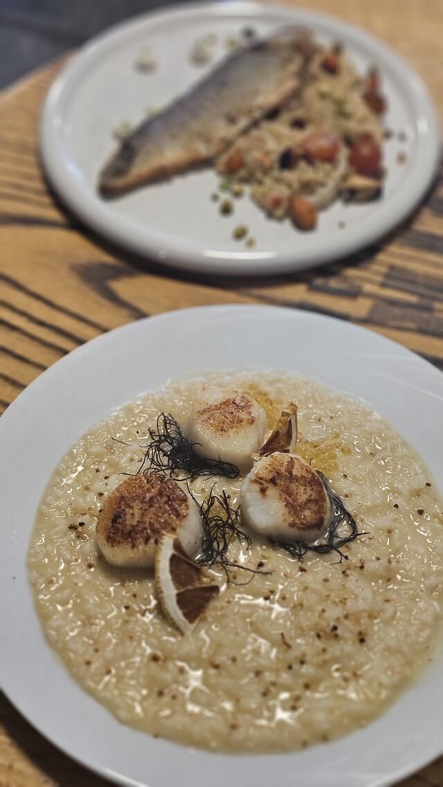 Capesante - Vieiras grelhadas, risotto de limoncello