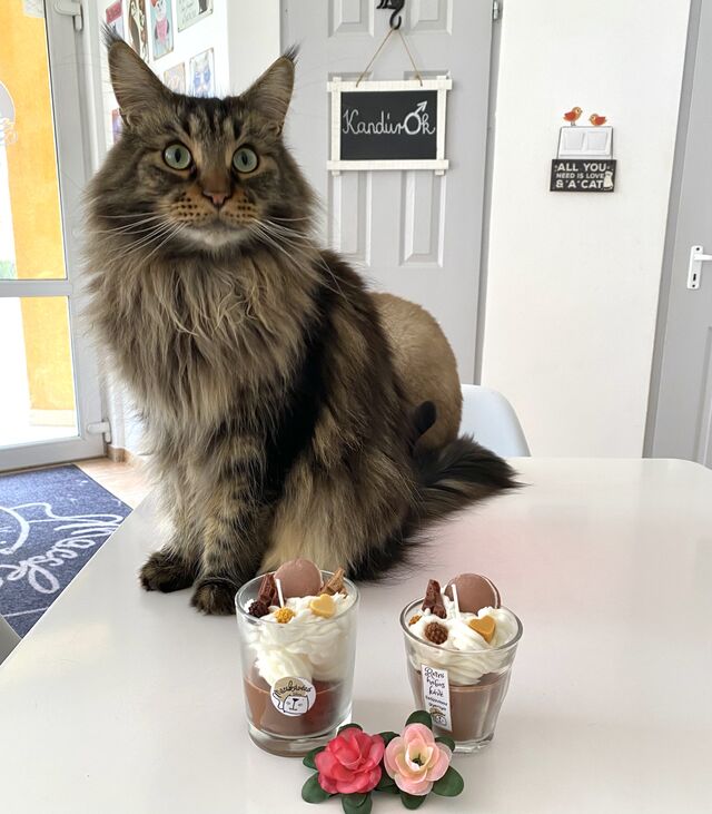 Élethű szójaviasz illatgyertyák