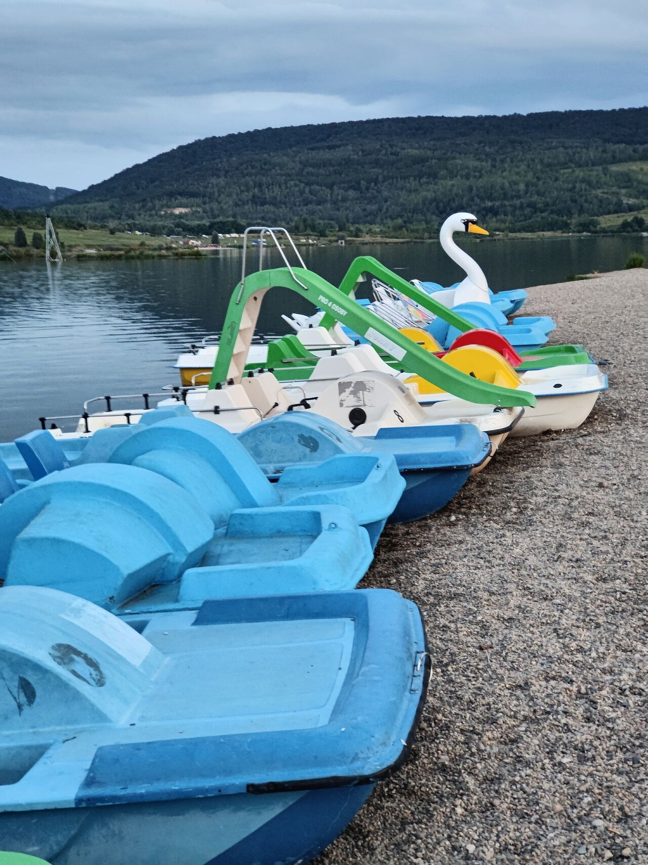 Máme k zapůjčení velký výběr ruzných druhů šlapadel s lehátky nebo skluzavkou.