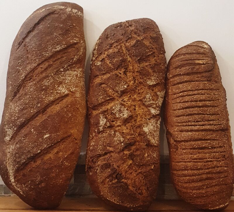 Les pains quotidiens: Campagne, Graines, Complet