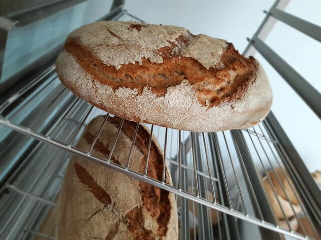 Pain intégral (T150)