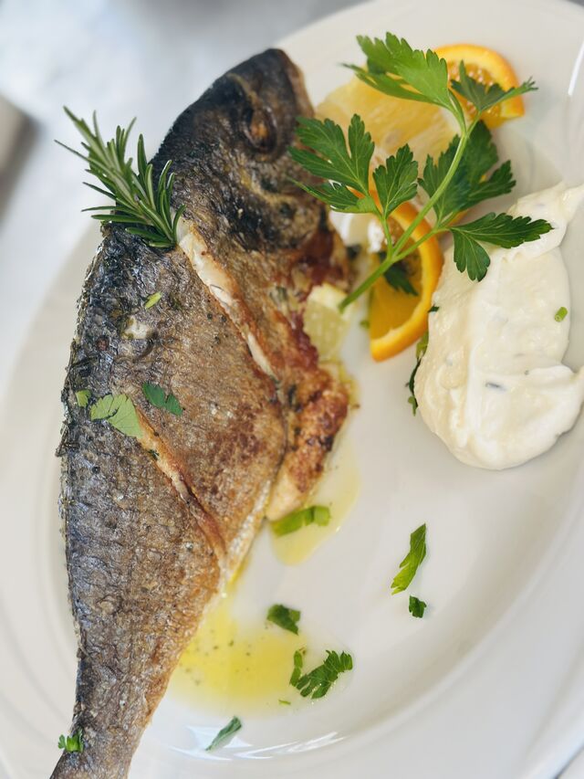 Dorade gegrillt 