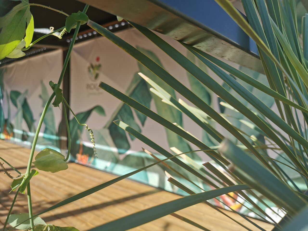 La terrasse au soleil ou à l'ombre : au choix selon la saison