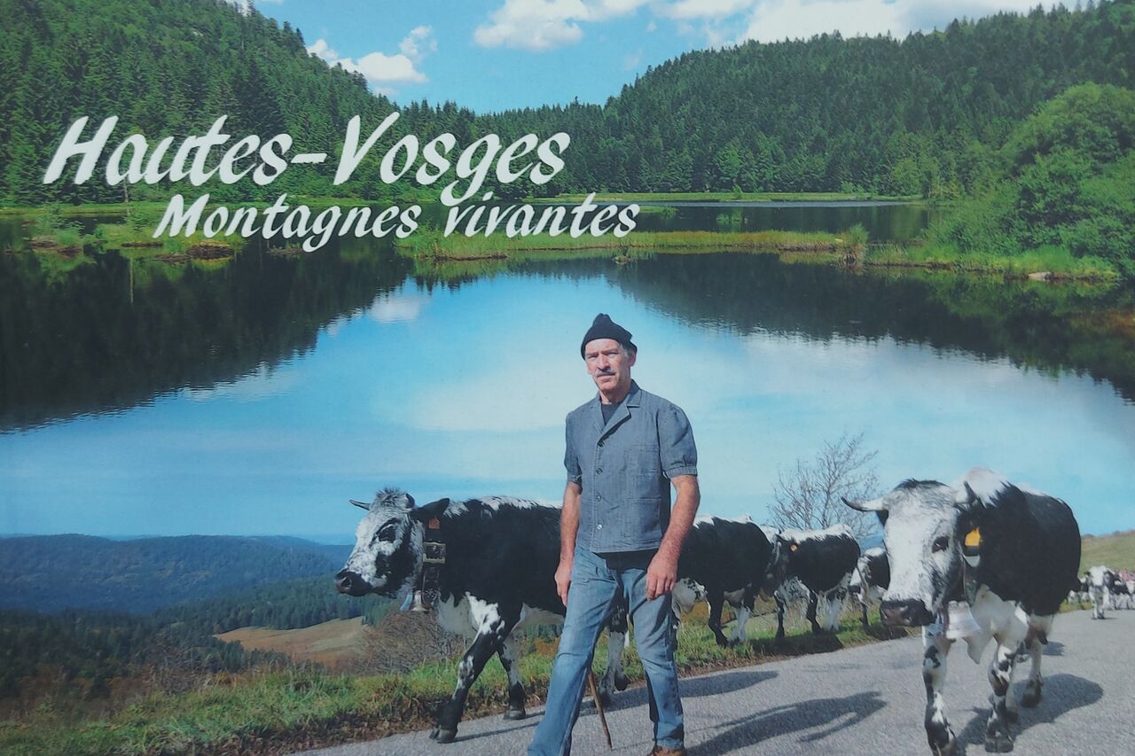 Balades dans les Vosges