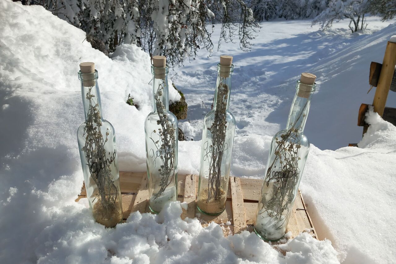 Kits de préparation pour Génépi