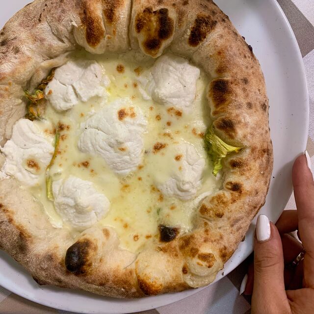 Partenopea senza alici 