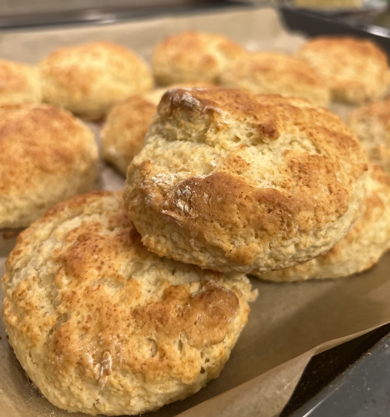 Freshly baked Scones 