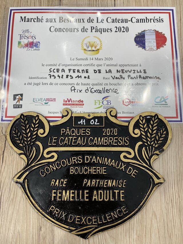 Différents prix et plaques de concours