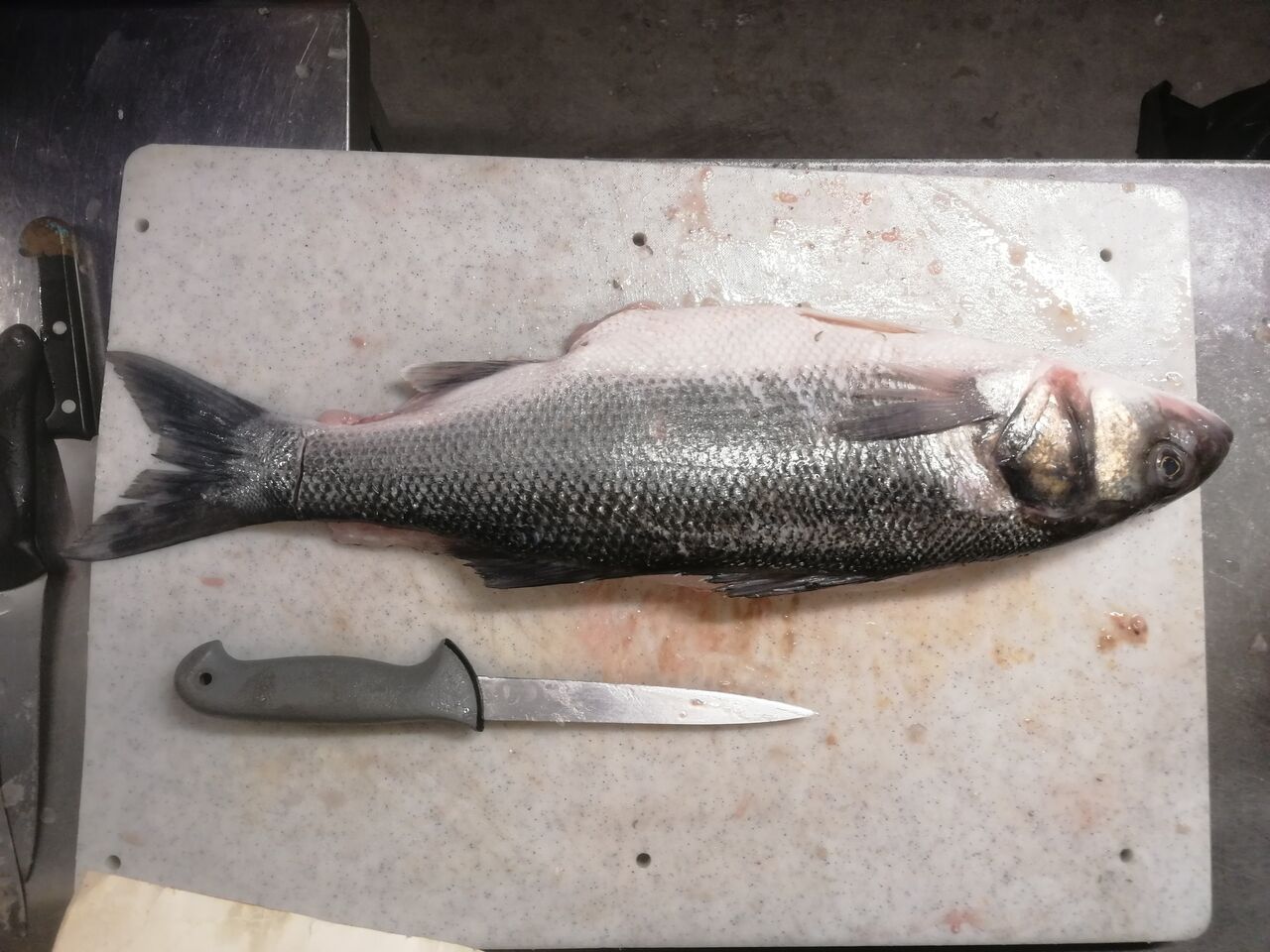 Bar de la pêche du jour, ceviche du jour 