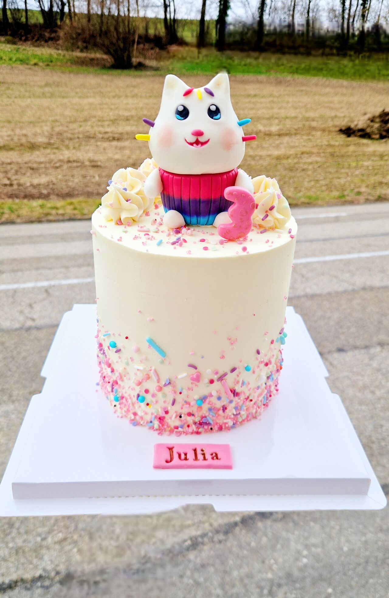 Layer cake Gaby chat