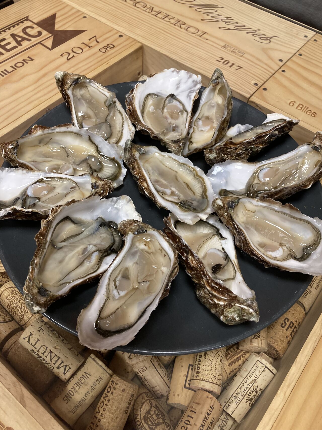 N3 Marennes d’Oléron 