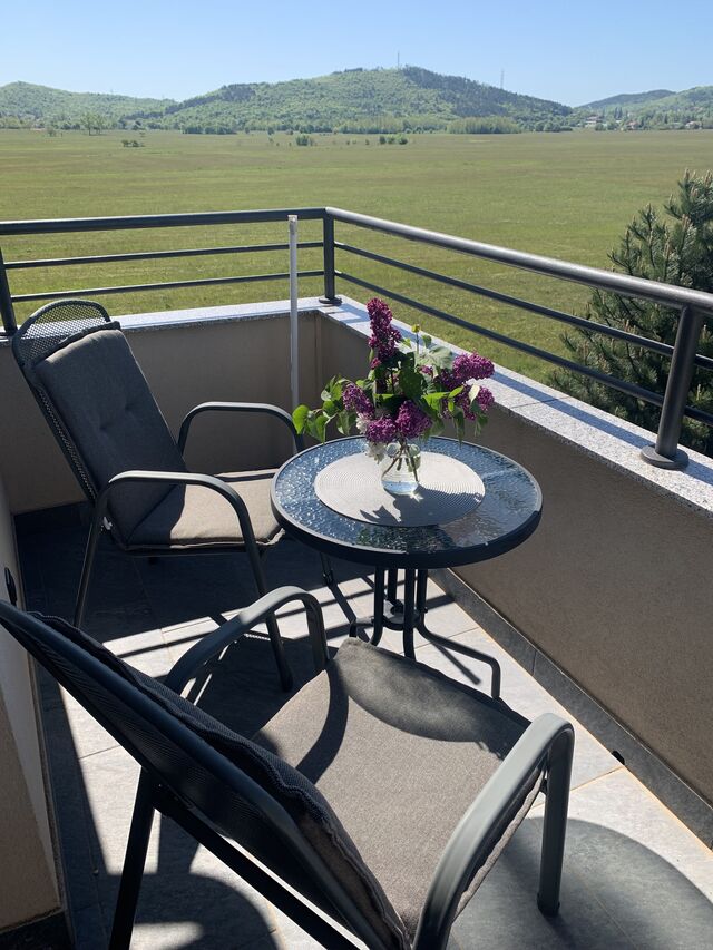 The view from the balcony