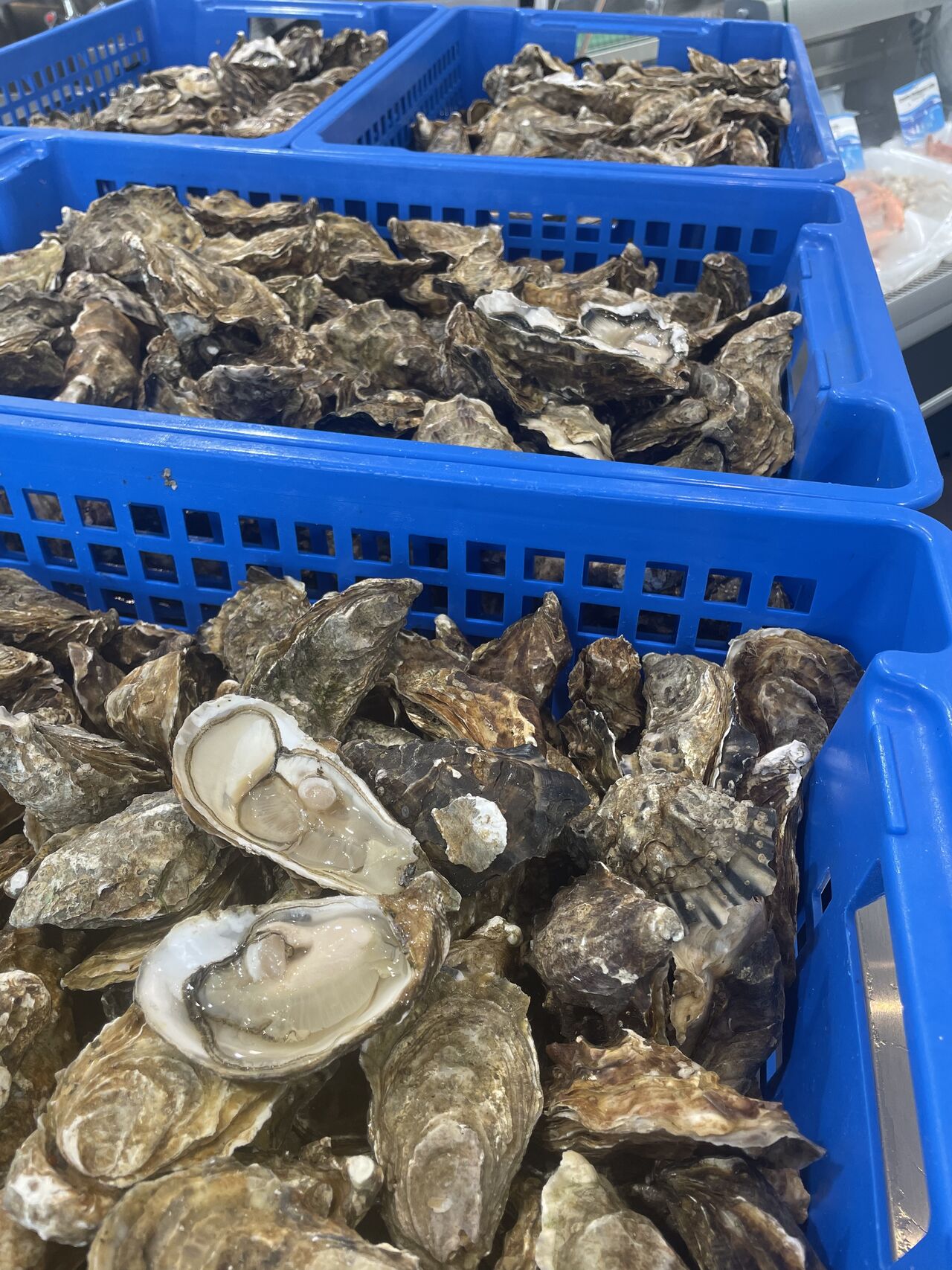 Huîtres 
