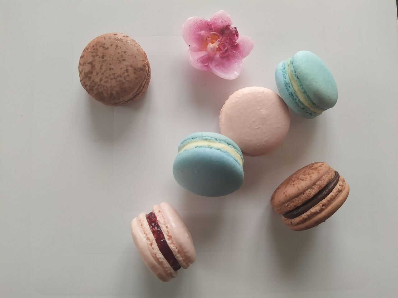 Macaron parfum chocolat framboises citron vanille pistache caramel cafe