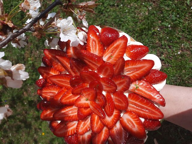Tarte aux fraises
Fond pâte sablé ,une crème légère ,fraises 