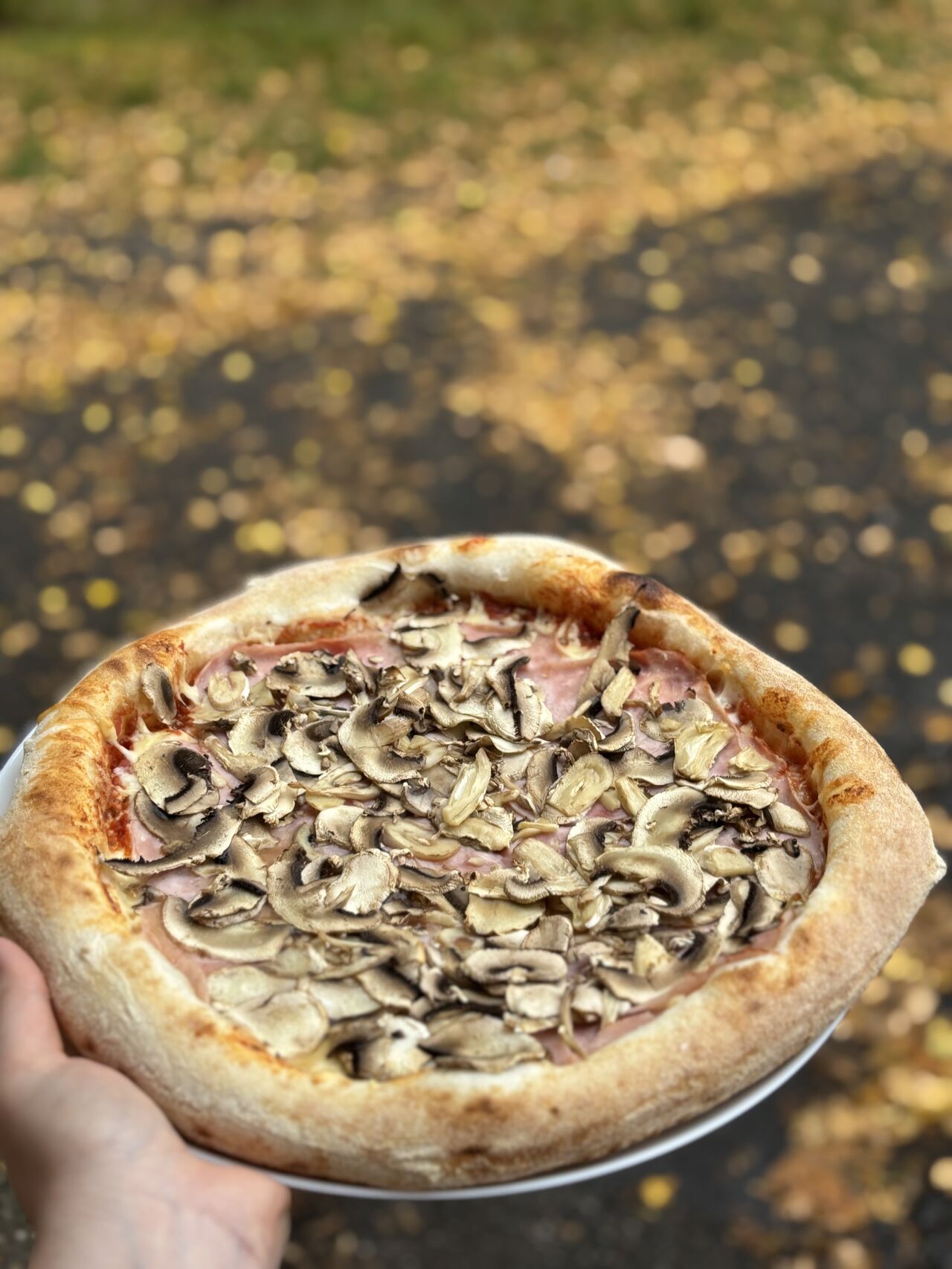 Pizza Funghi
