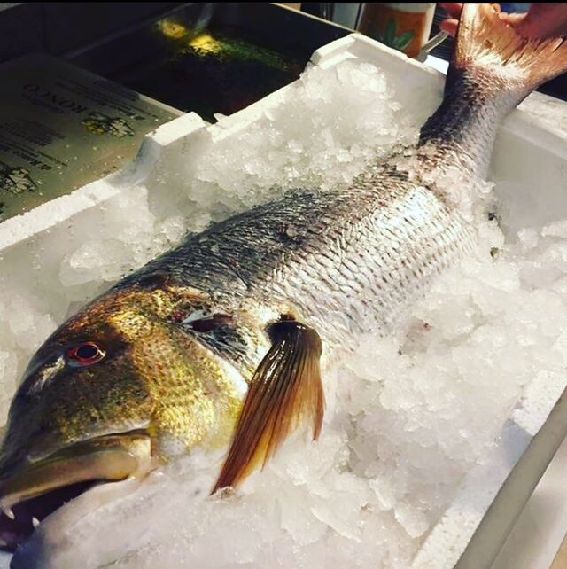 Dentice Torre a Mare