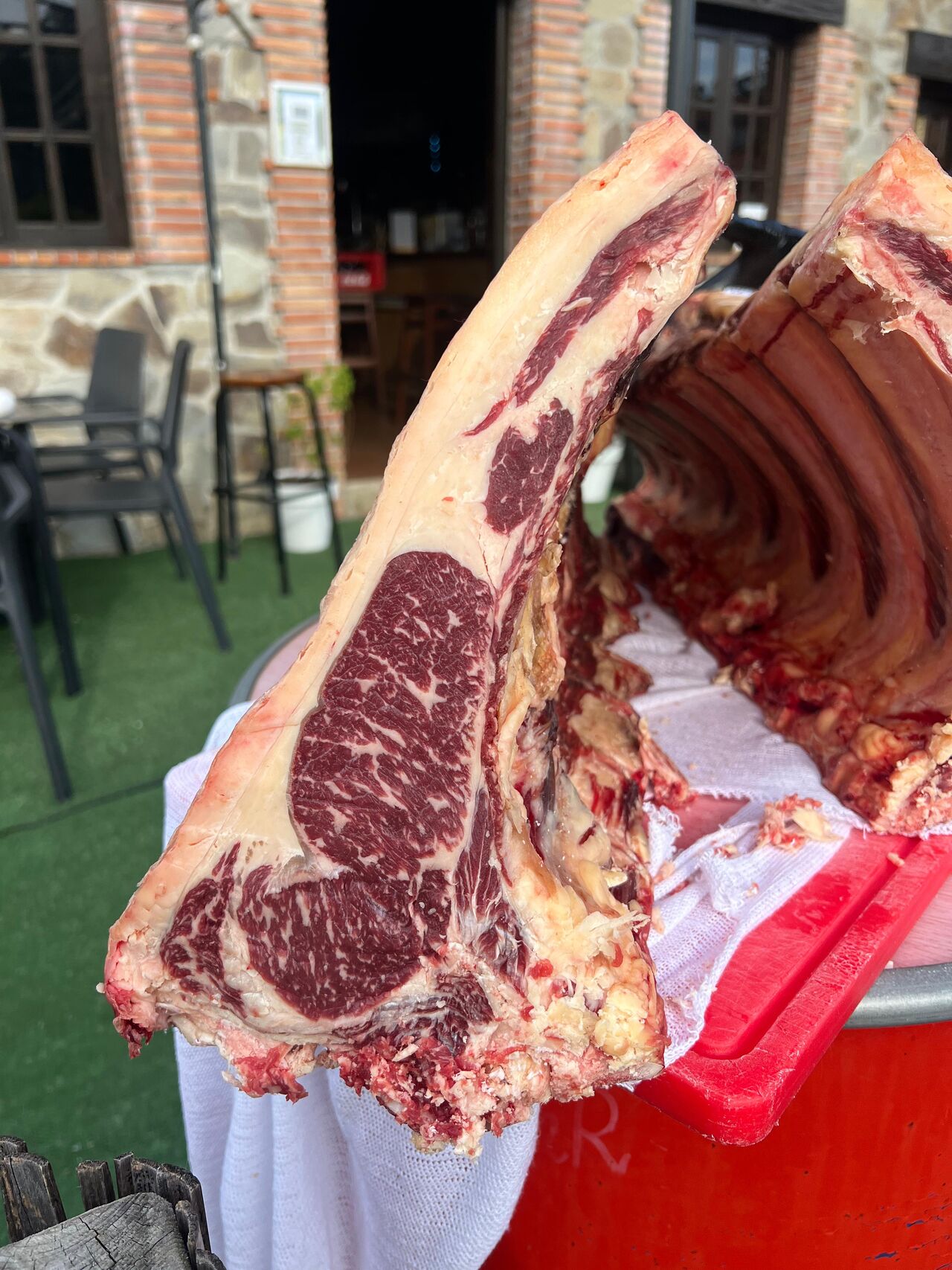 Vaca Machorra de Nay Galicia