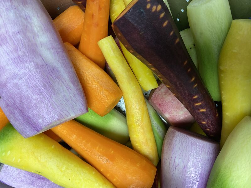navets et carottes de couleurs 